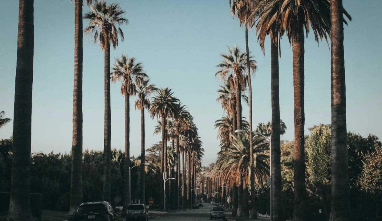 Los Angeles's Best Value Real Estate