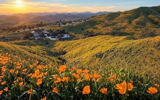 Buy house in Chino Hills